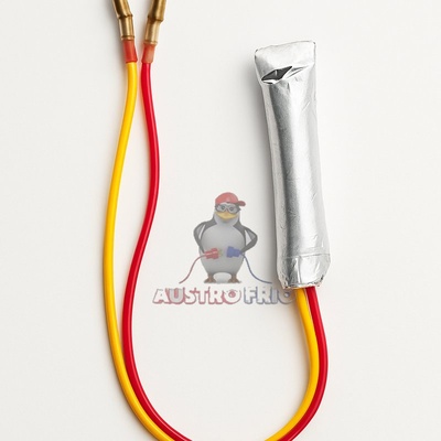 FUSIBLE /TERMOSTATO 76